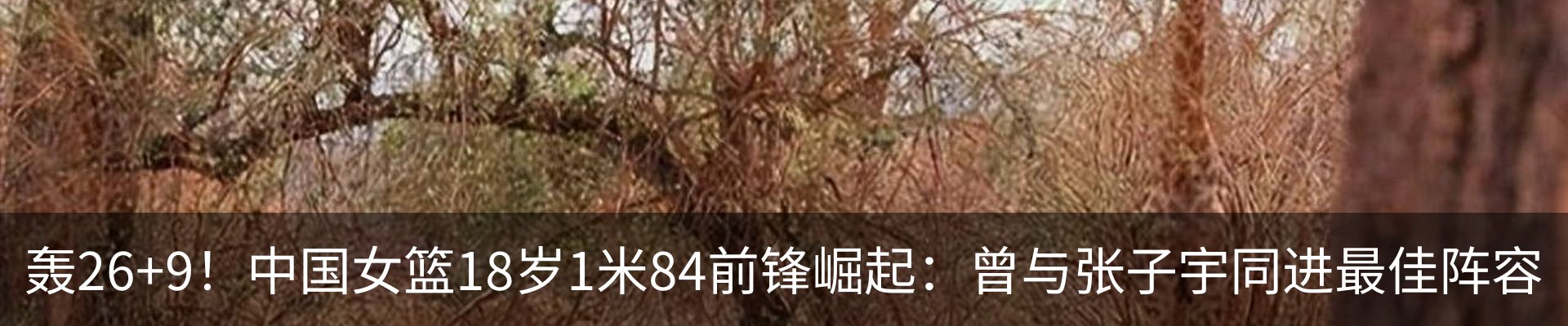 行业资讯